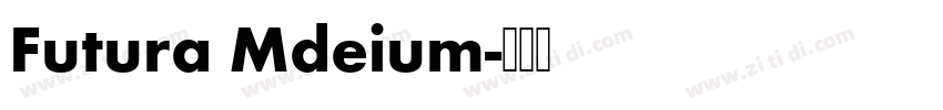 Futura Mdeium字体转换